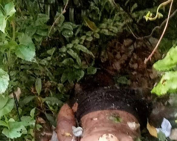 Geger Temuan Jasad Balita Membusuk di Semak- semak  di Batang Kuis