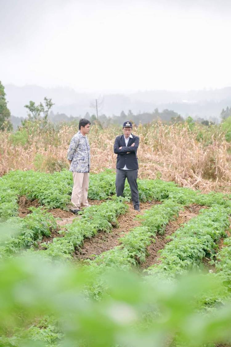 Taiwan Technical Mission Buat Percontohan Budidaya Pertanian di Food Estate