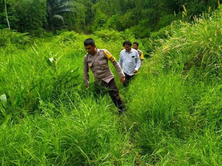 Pelaku Pencurian Hewan Ternak Diamankan Warga, 2 Pelaku Tewas Diamuk Massa, 1 Pelaku Dalam Pengejaran