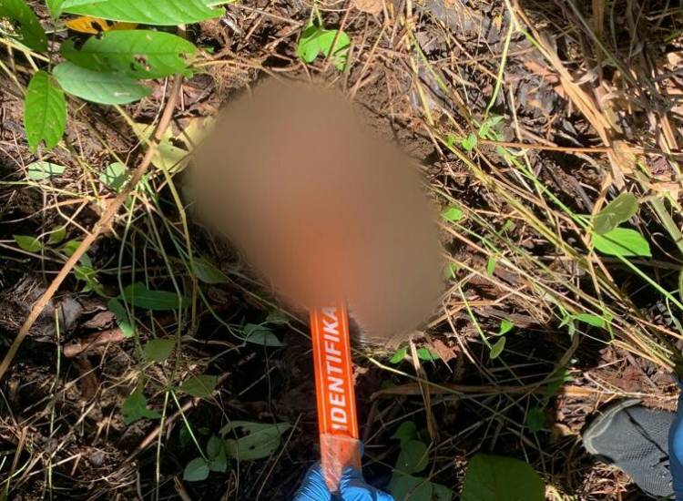 Potongan Kepala Mayat Nenek di Mondrowe Nisel Ditemukan