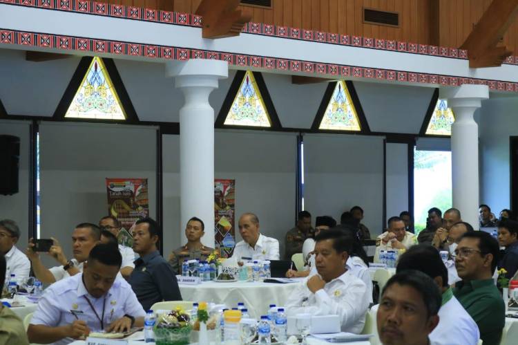 Wabup Samosir Ikuti FGd Pembentukan Kewilayahan Kawasan Tertentu