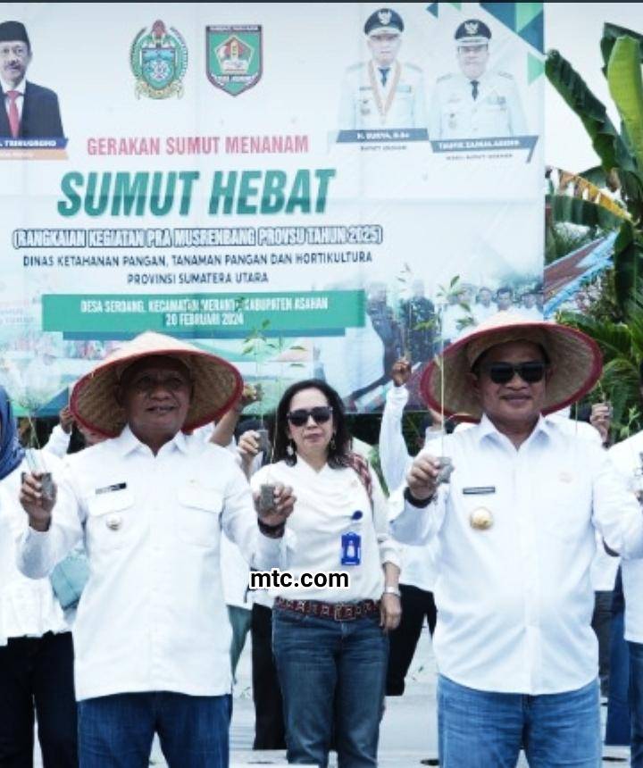 Harga Cabai Menjanjikan,Pj.Gubsu Dan Bupati Tanam Cabai Didesa Serdang.