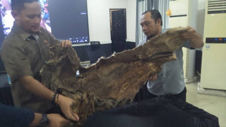 Dua Pria Digerebek di Hotel Kulit Hariman Seharga Rp 15 Juta Gagal Dijual