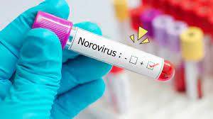 Norovirus, alias "flu perut," Sedang Meningkat di AS