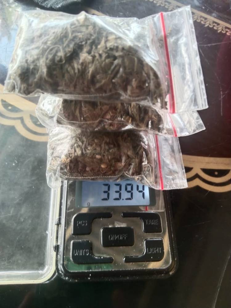 Sat Narkoba Polres Simalungun Berhasil Bekuk Pengedar Ganja Berusia 52 Tahun, Ganja 33,94 gram diamankan
