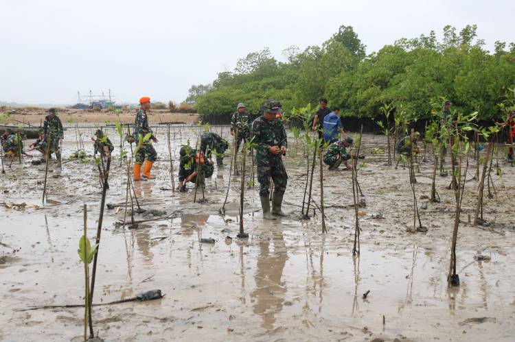 Satgas TMMD Natuna Bantu Pembersihan Lahan Mangrove