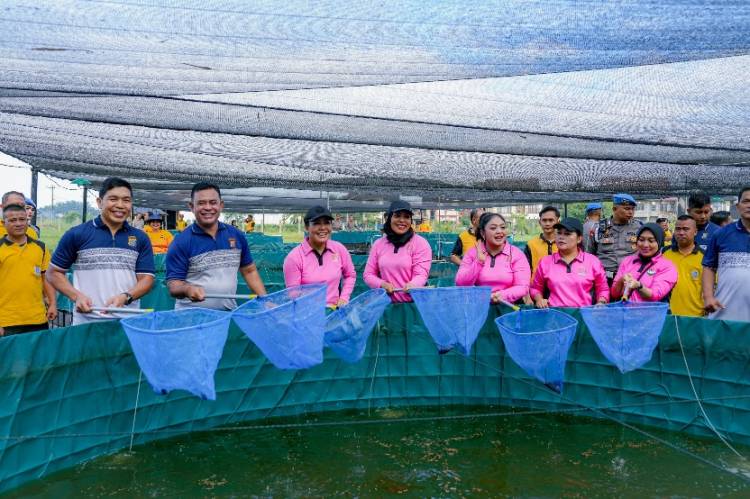 Dukung Program Asta Cita Presiden,Kapoldasu Panen Raya Perdana Lele