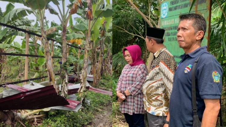Arogansi Oknum Aparat KPH  Dinas LHK Sumut  :  Lapor Prabowo Aku Enggak Takut