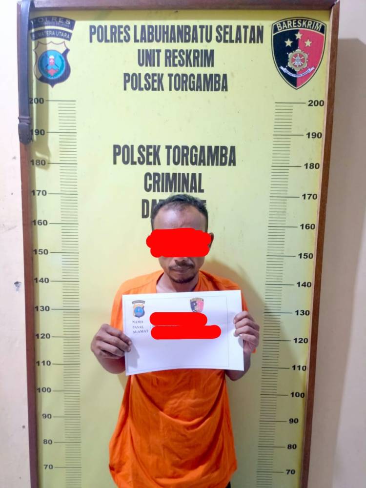 Ditinggal Pemilik 2 Hari, Polres Labusel Ringkus Pelaku Pembobolan Rumah