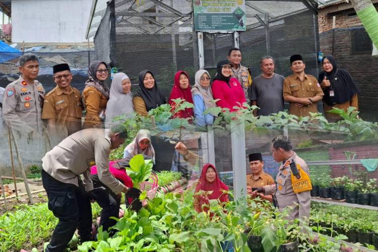 Lahan Pekarangan Disulap Jadi Lumbung Pangan, Kapolres Tanjungbalai Beri Apresiasi