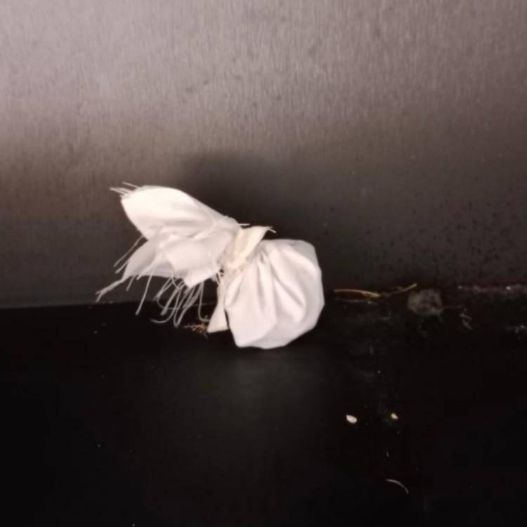 Petugas Kebersihan Temukan Bungkusan Jimat dan Keris di Kantor dan Rumdis Wali Kota Tanjungbalai