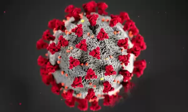 Mau Tahu Negara Yang Banyak  Meninggal Dunia, Virus Corona Baca disini..