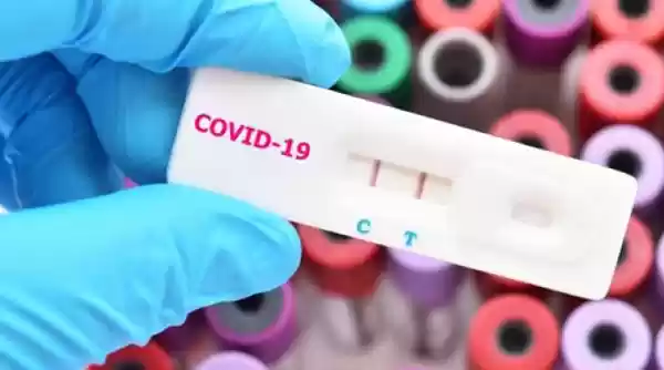 Fakta Baru Terungkap, Virus Corona Telah Bermutasi Menjadi 40 Jenis