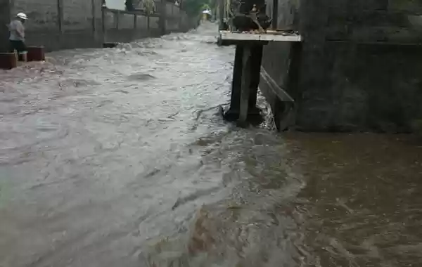 Gianyar Bali di Landa Banjir, Pohon Tumbang