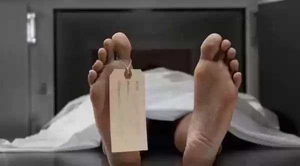 Dua Pekerja Tambang Emas Tewas dan Satu Lagi Kritis