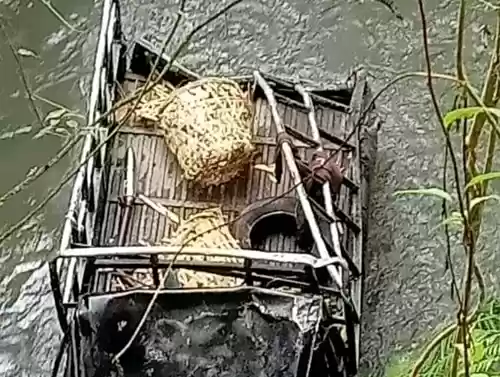 Mobil Pick Up Terjun Bebas Ke Jurang Sedalam 30 Meter, Supir Raib Tidak Kelihatan