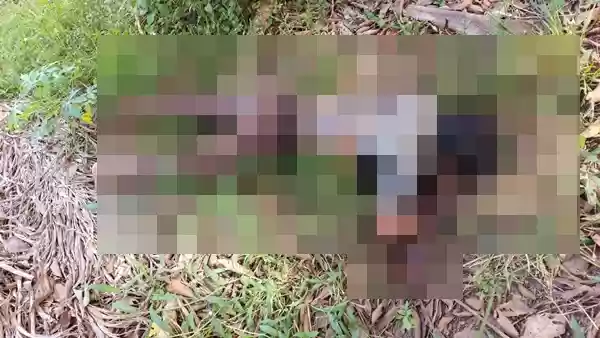 Pembunuh Pelajar SMK di Sunggal Diringkus