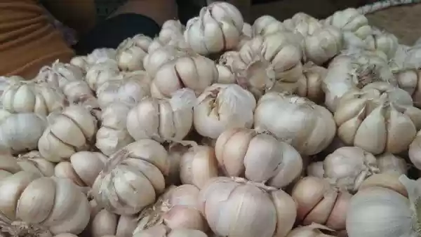 Gara Gara Virus Curona, Harga Bawang Putih Naik