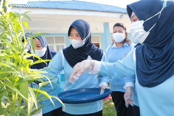 Dukung Program Ketahanan Pangan, Lanud SIM Panen Sayur