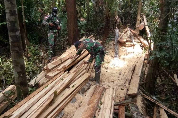 Satgas Yonif 642/Kapuas Amankan Kayu Hasil Illegal Logging di Wilayah Perbatasan