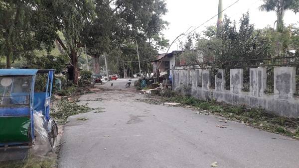 Hujan Deras dan Angin Kencang di Samosir Rusak Puluhan Rumah dan Tiang Listrik