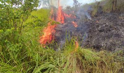 Warga Sempat Panik, Kebakaran Lahan Ilalang di Kota  Lhokseumawe