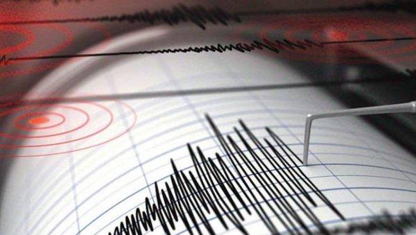 Gempa berskala 4.2 Magnitudo, Guncang Kota Jayapura