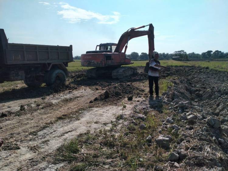 Kejar Panen Setahun Dua Kali, Gapoktan Lakukan Pengorekan Lahan Pertanian