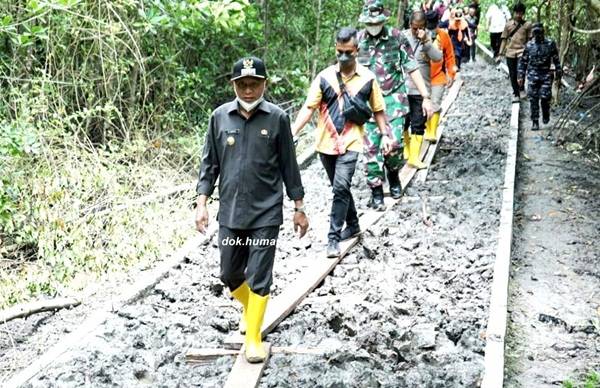 10 Ribu Pohon Mangrove Ditanam di Taman Wisata Alam Desa Silau