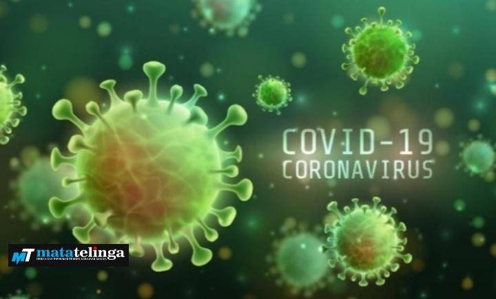 15 Kasus Sembuh 13 Kasus Terkonfirmasi Covid 19