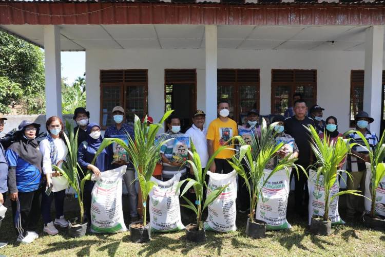 Musa Rajekshah Bagikan Bibit Kelapa Pandan Wangi dan Padi di Kecamatan Bahorok