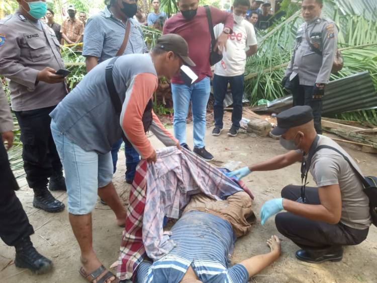 Seorang Meninggal dan seorang lagi patah kaki Tertimpa Pohon Sawit