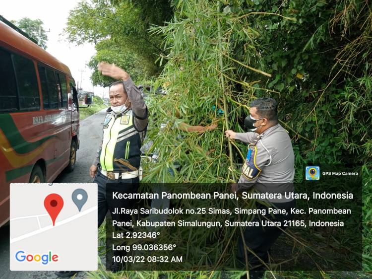 Ipda M. Rizal  Dengan Sigap Membersihkan Pohon Bambu Yang Menutupi Badan Jalan