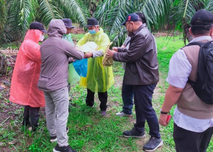 Kasus Mafia Tanah di Langkat, Tim Pidsus Kejati Sumut Koordinasi Dengan Tim Ahli dari IPB