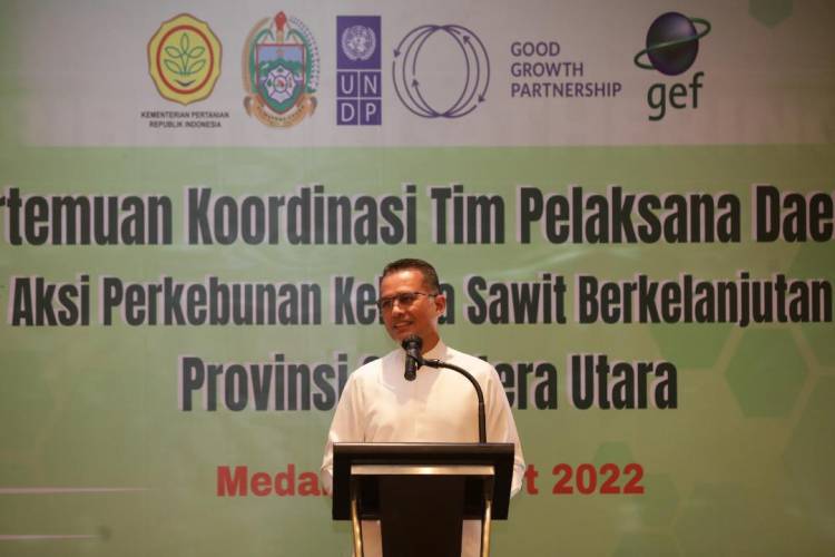 Wagubsu Harapkan Kerja Sama Semua Pihak dalam Pembangunan Kelapa Sawit Berkelanjutan