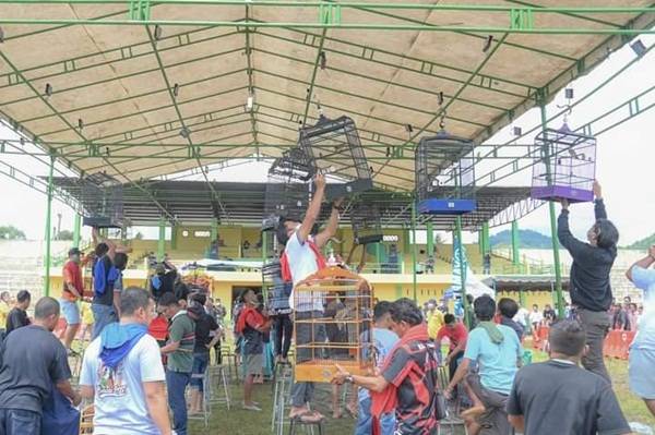 Festival Kicau Mania Dorong Aktivitas Perekonomian Warga Padangsidempuan