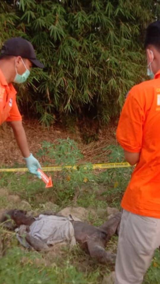 Gegerkan Warga, Sesosok Mayat Di Temukan Di Bantaran Sei Ular