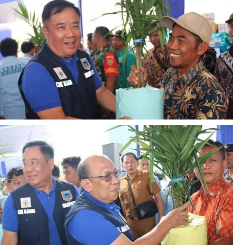 Bupati Lahat Bantu Bibit Sawit dan Pinang untuk Kelompok Tani