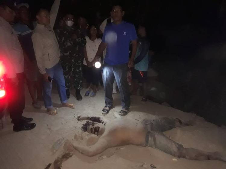 Identitas 2 Pencuri Lembu Tewas Dimassa Diketahui