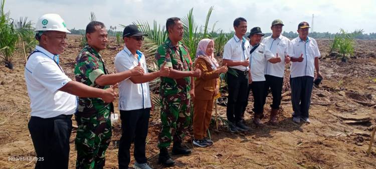 PTPN IV Unit Gunung Bayu Laksanakan Tanam Perdana di Afd III