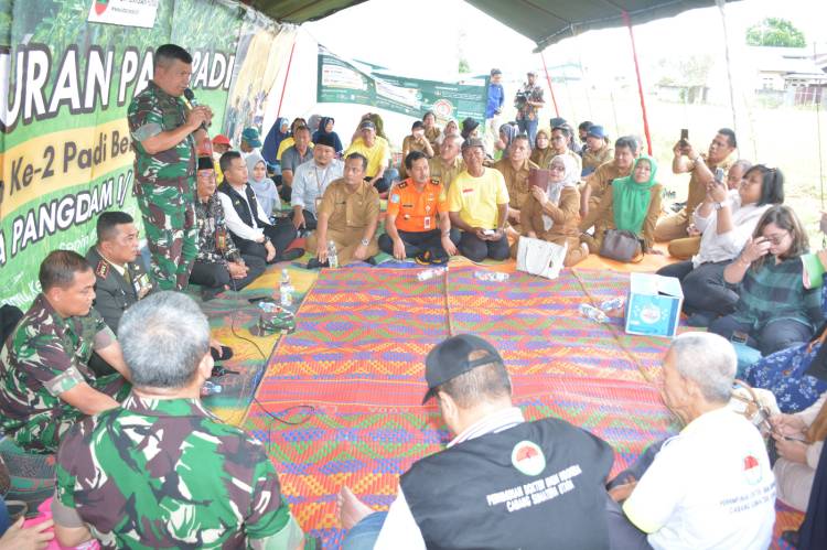 Jamin Ketersediaan Logistik Wilayah, Pangdam I/BB Panen Padi Bebas Pestisida Seluas 5.000 M&sup2;