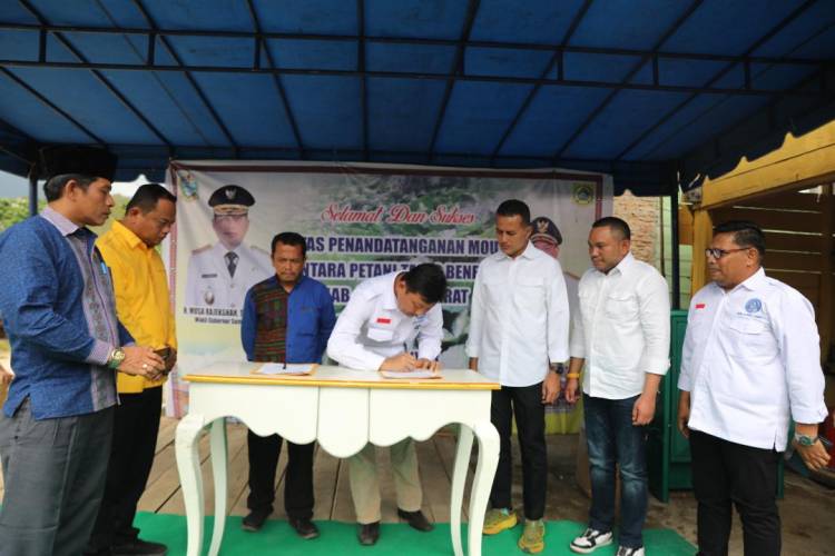 Musa Rajekshah Minta Pemda dan Swasta Dorong Petani Tanam Talas Beneng