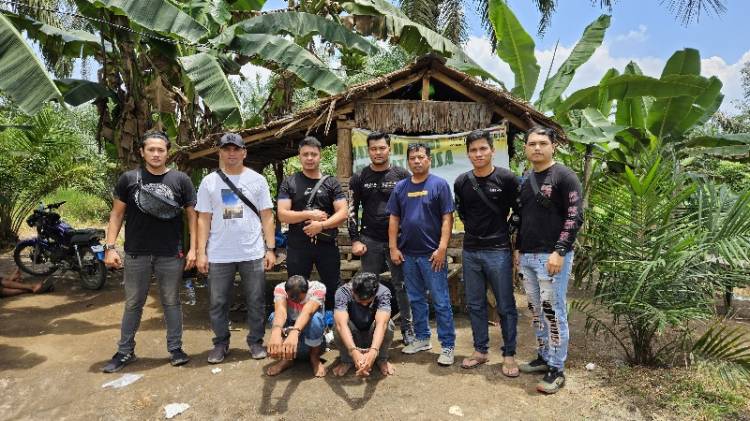 Dua Pemuda Ditangkap Sat Narkoba Polres Simalungun Dalam Penggerebekan Gubuk di Ujung Padang