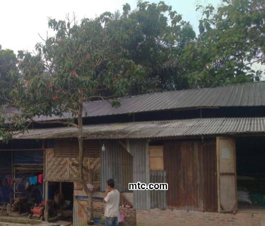 Waga Sedikit Dapat Bernafas Lega, Setelah Ayam Potong Dipanen Pengusahanya