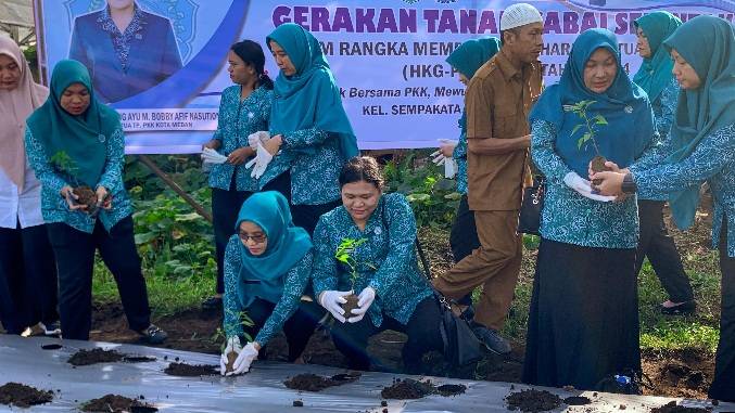 Memperingati HKG PKK ke-52, TP PKK Kota Medan Ikut Lakukan Penanaman Cabai secara Virtual