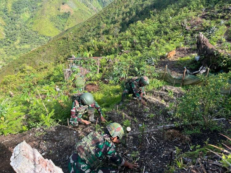 Diatas Lereng-Lereng, Satgas Yonif 715 Giatkan Program Ketahanan Pangan di Daerah Penugasan