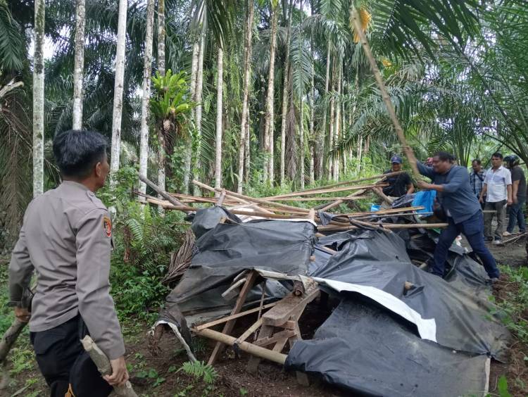 Polsek Pancurbatu Gerebek Barak Narkoba