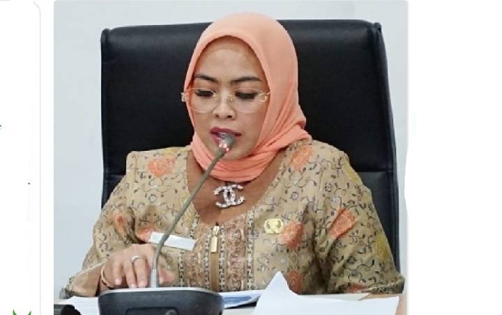 Zoom Meeting Bupati Maya Hasmita, Angka Stunting Labuhanbatu Tahun 2024 Sebesar 20,2 Persen