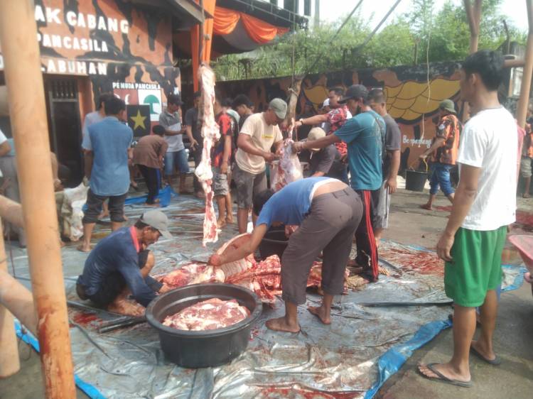 Sambut Idul Fitri 1446 H,  PAC PP Medan Labuhan Sembelih 7 Ekor Lembu