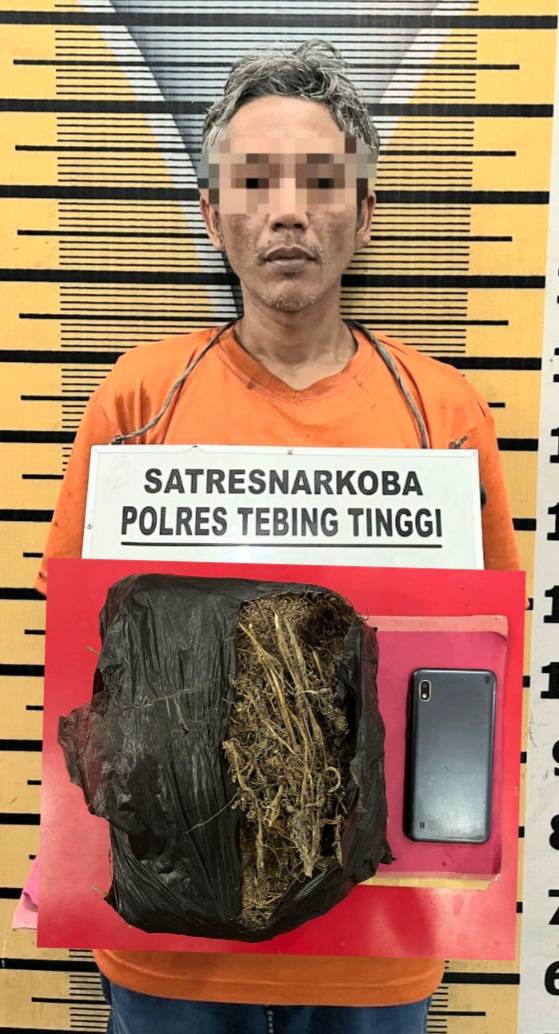 921 Gram Ganja Gagal Beredar di Tebingtinggi, Penjualnya Keburu Ditangkap